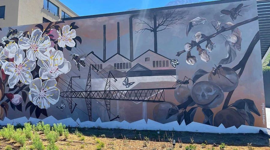 thumbnail_Place+de+la+Florescat+-+Saxon+(3)